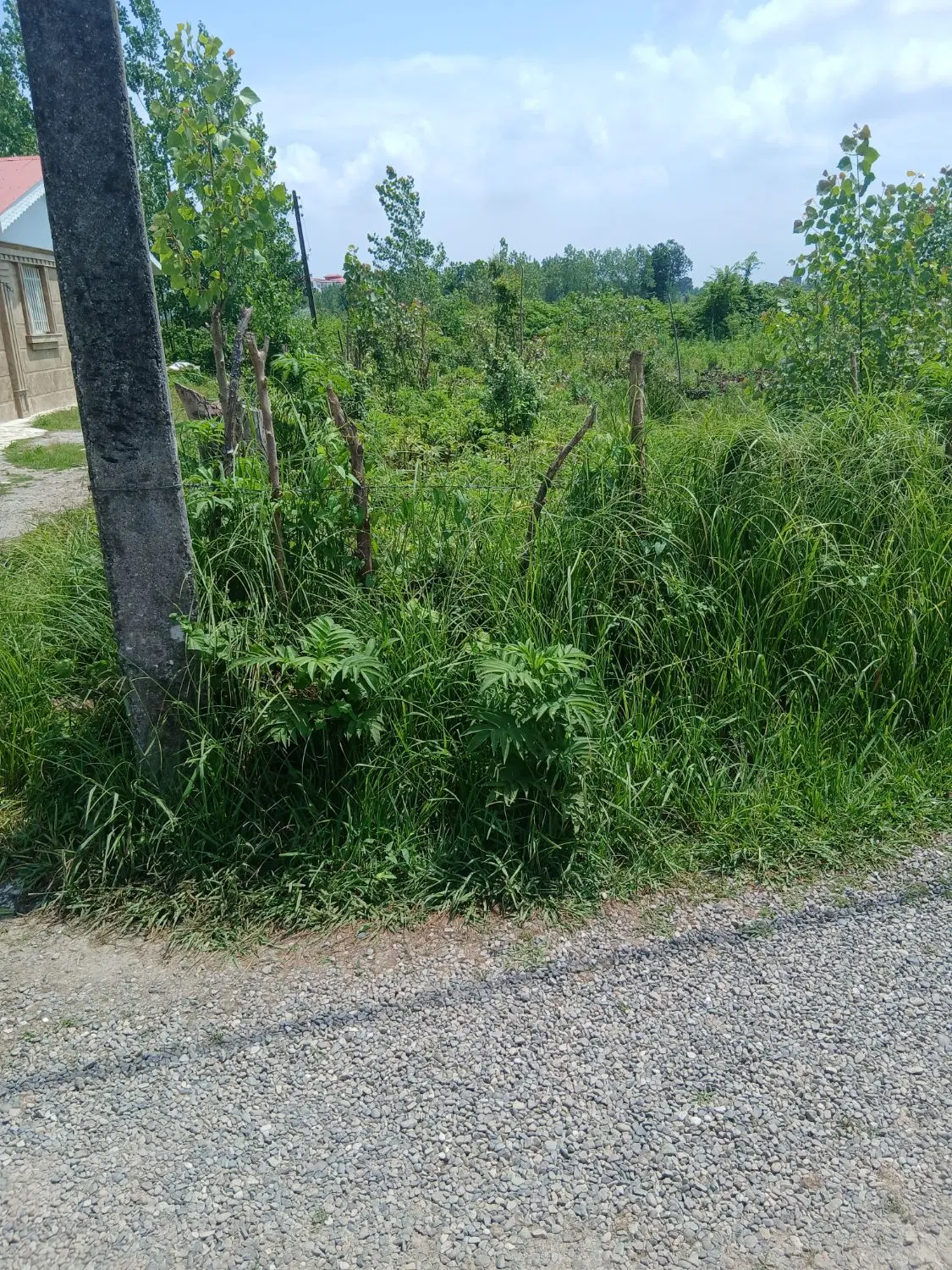 تصویر املاک 75176