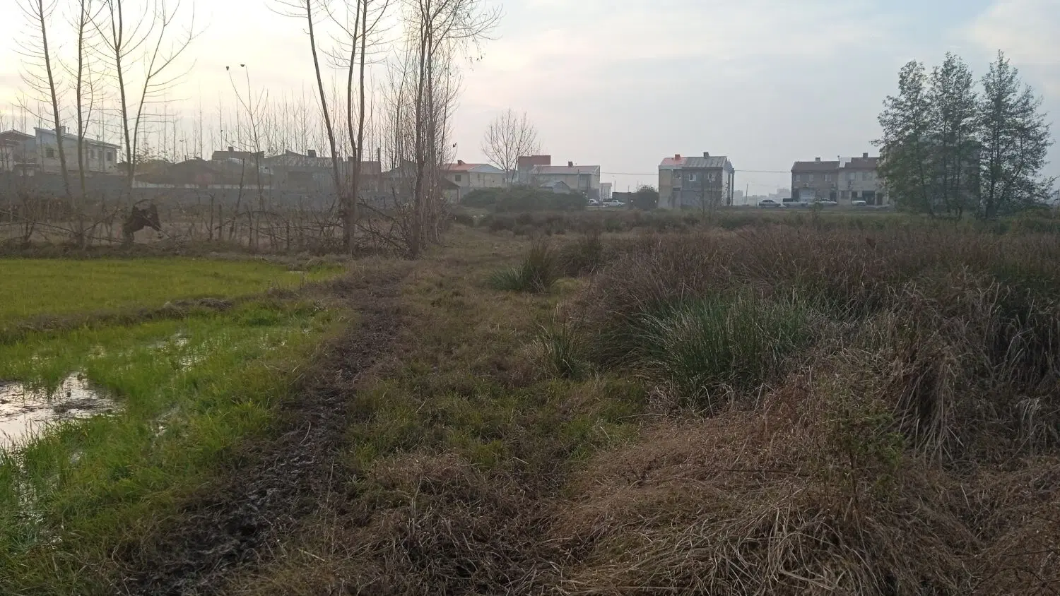 تصویر املاک 76851
