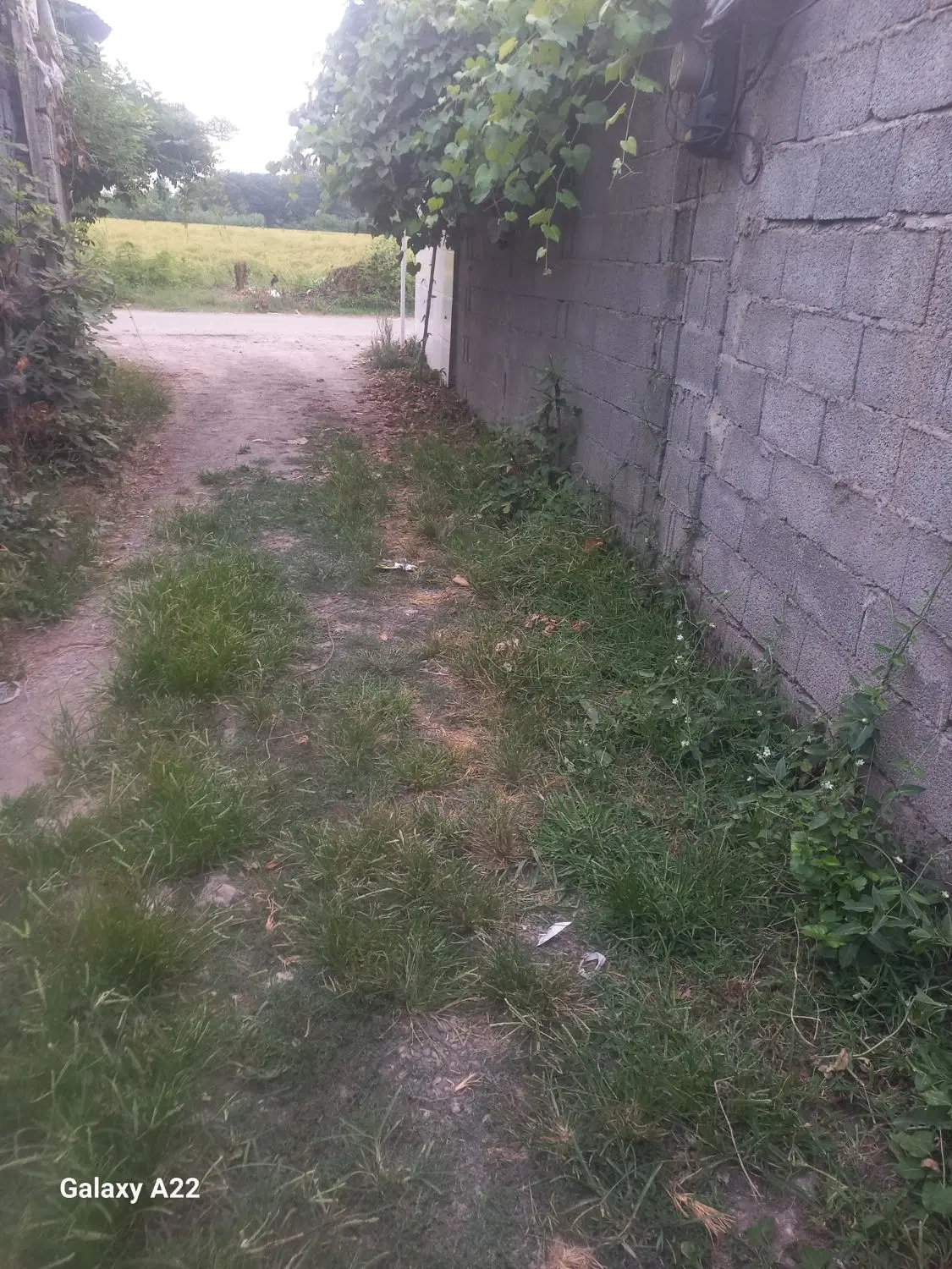 تصویر املاک 103702