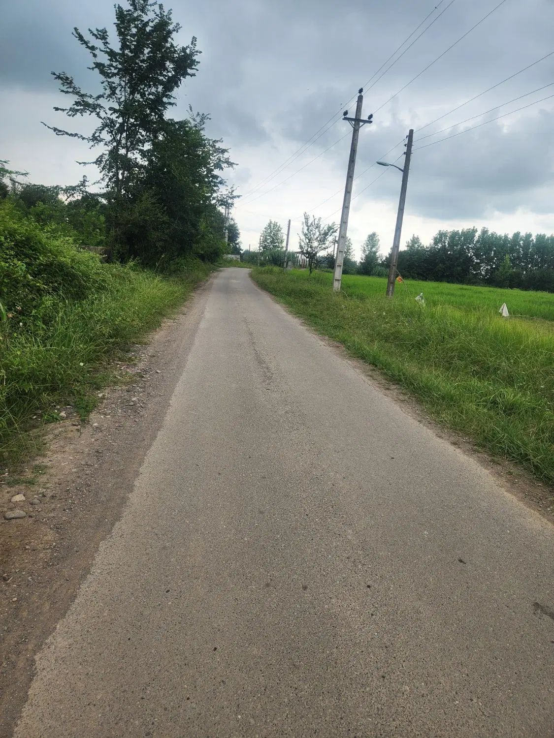 تصویر املاک 133735