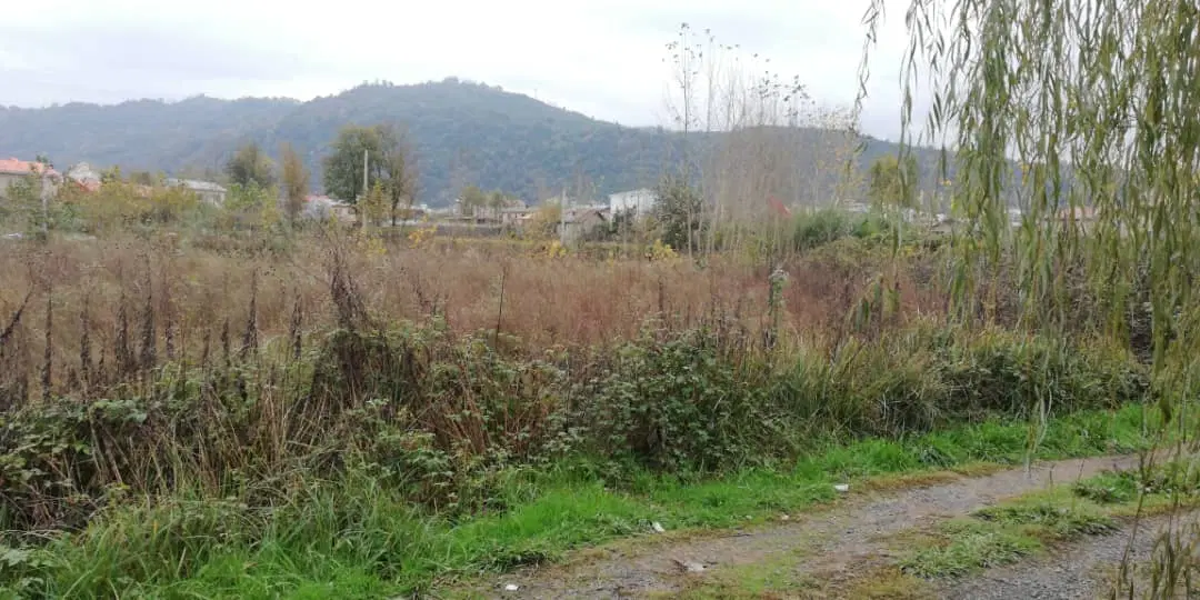تصویر املاک 129036