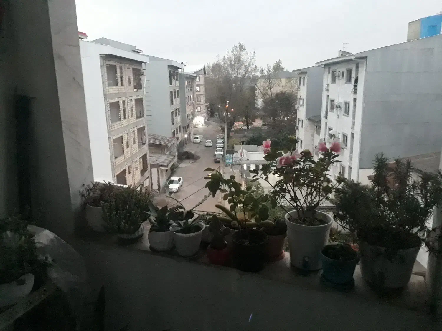 تصویر املاک 22746