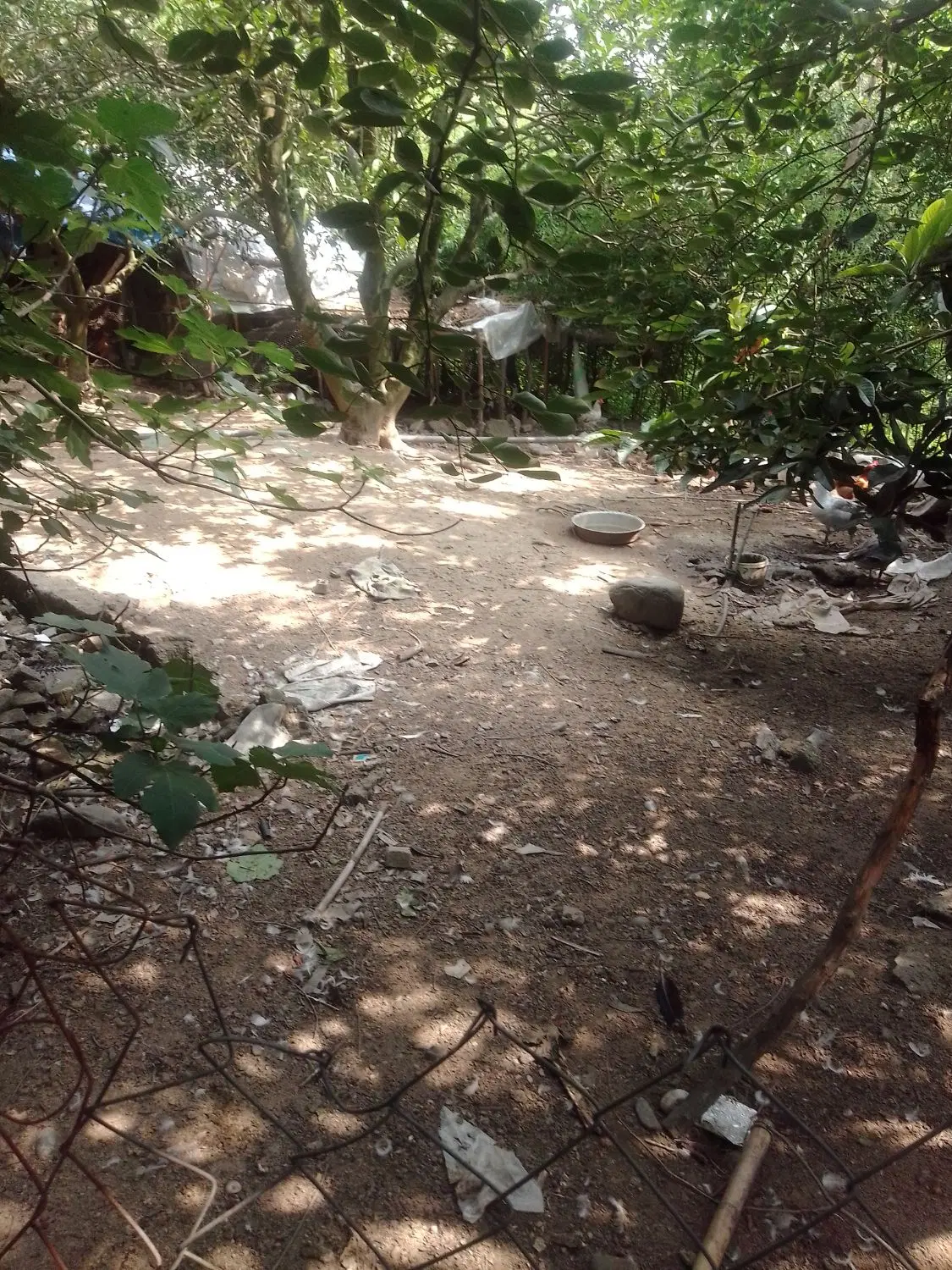 تصویر املاک 102977