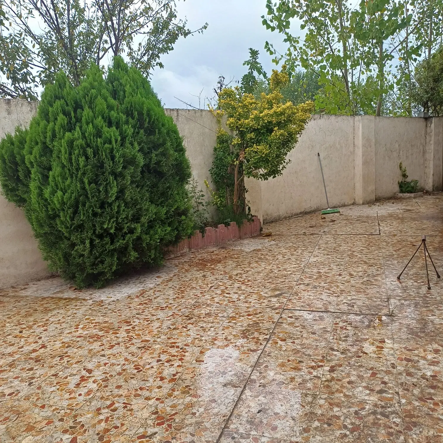 تصویر املاک 109391