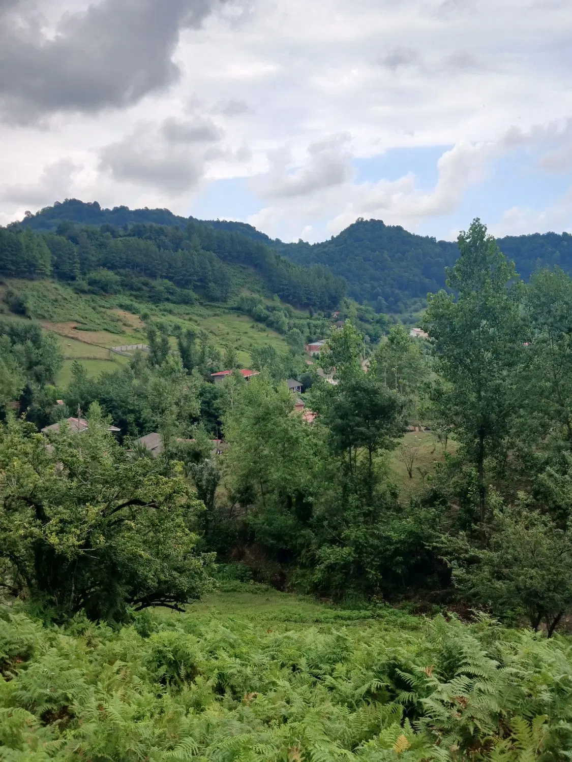 تصویر املاک 142984