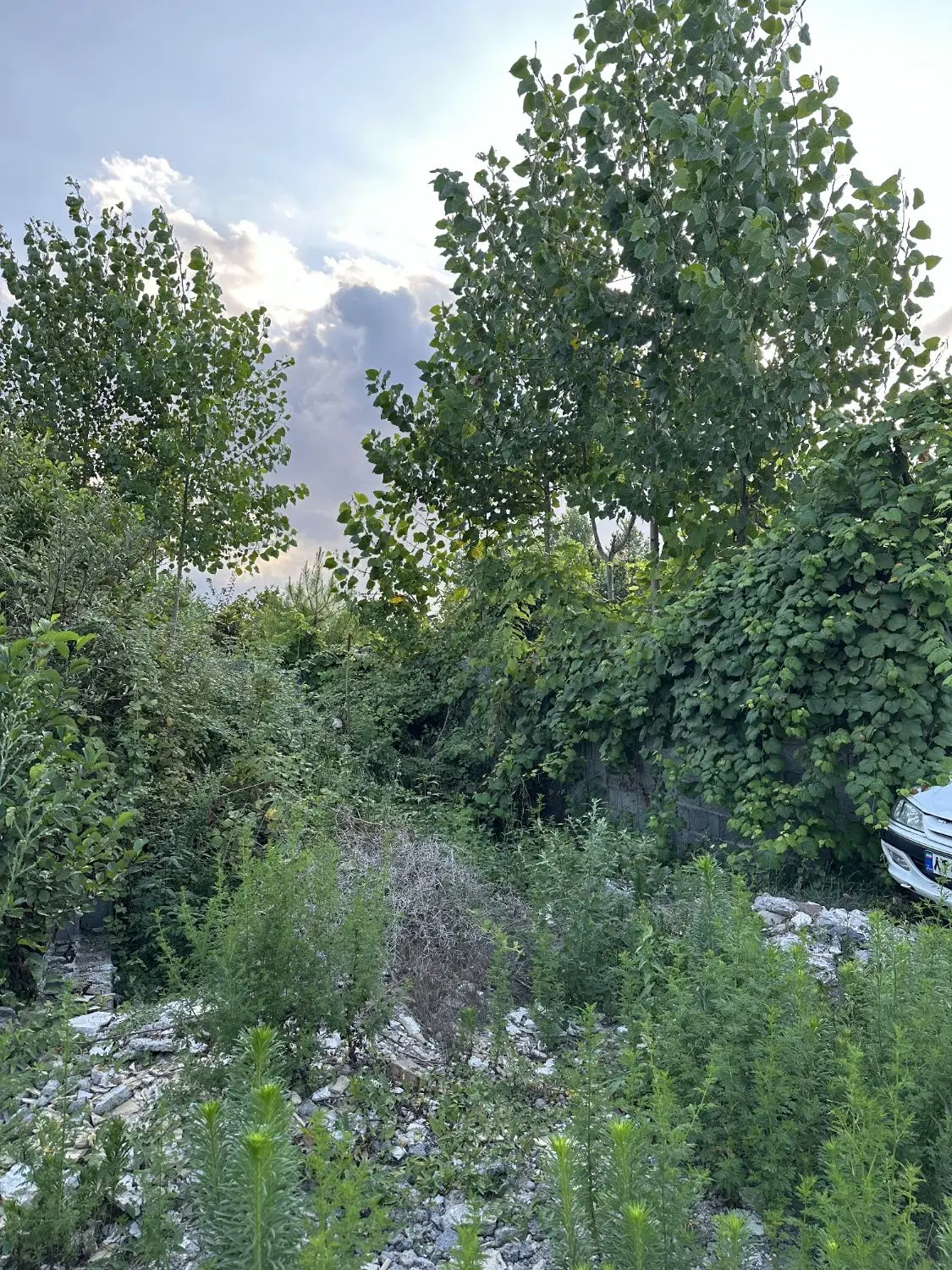 تصویر املاک 129830
