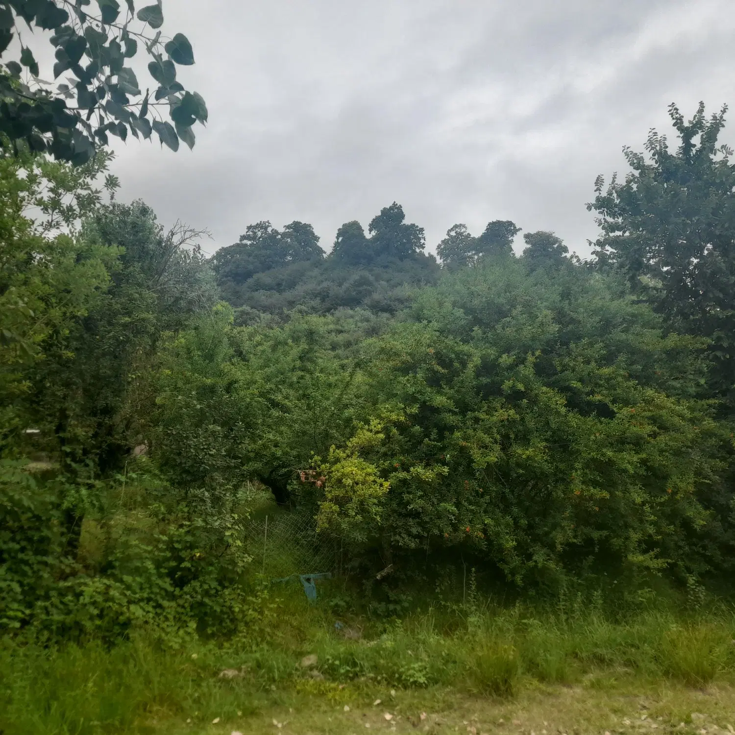 تصویر املاک 105165