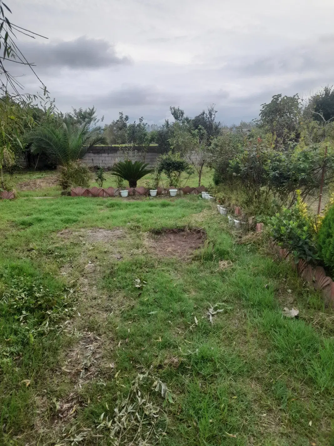 تصویر املاک 137231