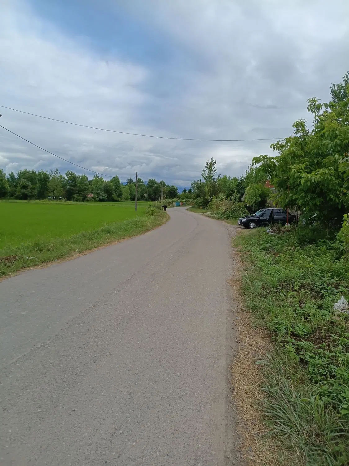 تصویر املاک 65640