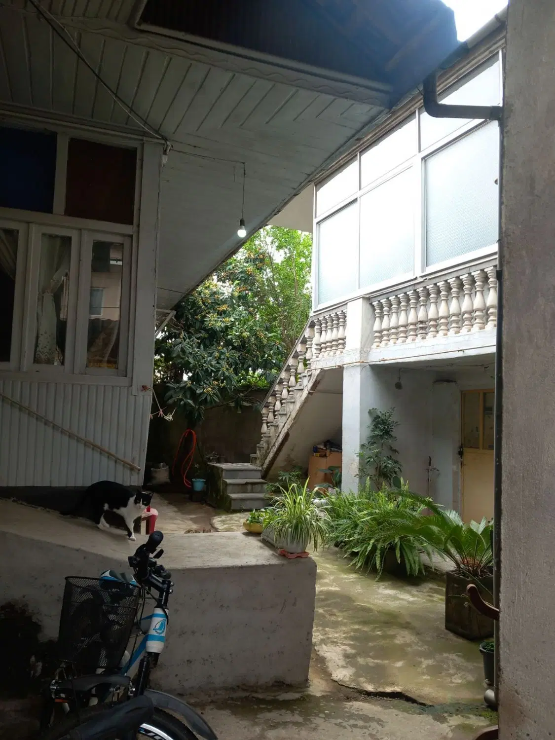 تصویر املاک 109246