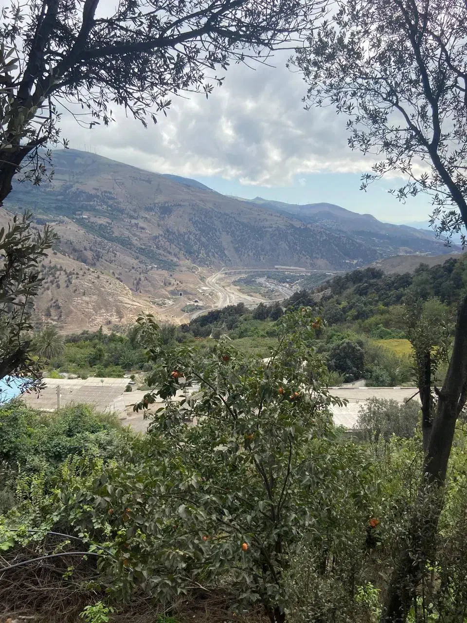 تصویر املاک 15201