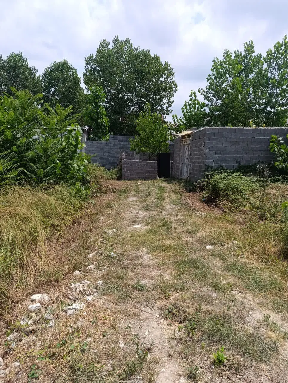 تصویر املاک 119208