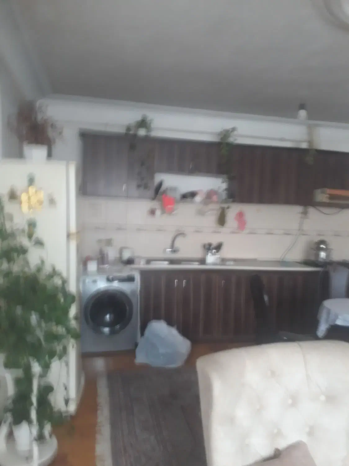 تصویر املاک 13161