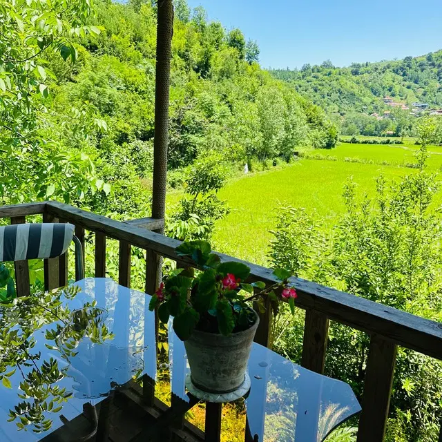 تصویر املاک 64030