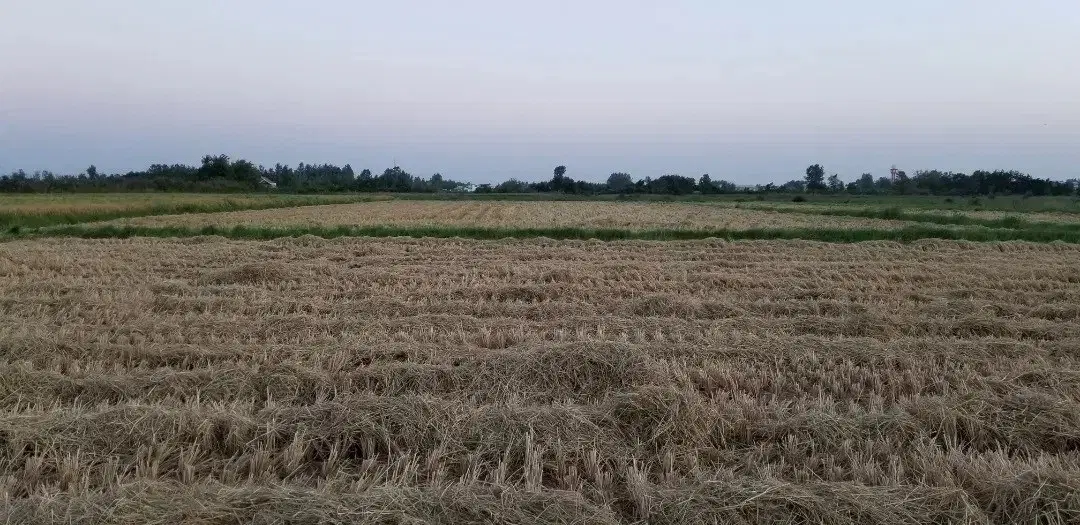 تصویر املاک 136786