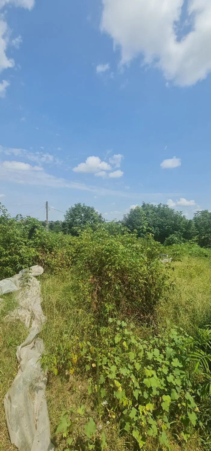 تصویر املاک 133370