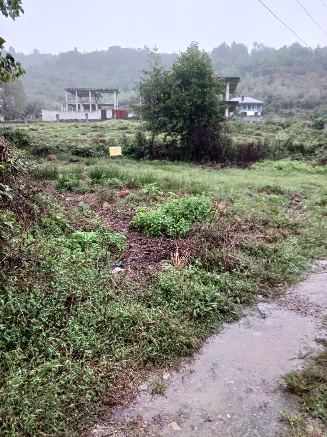 تصویر املاک 135415
