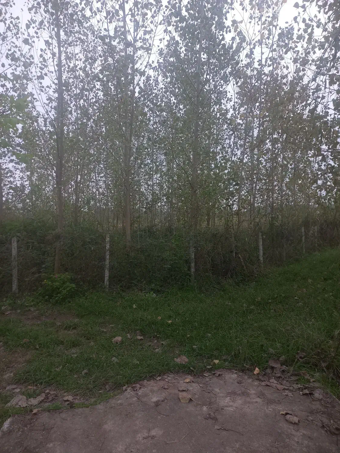 تصویر املاک 14847