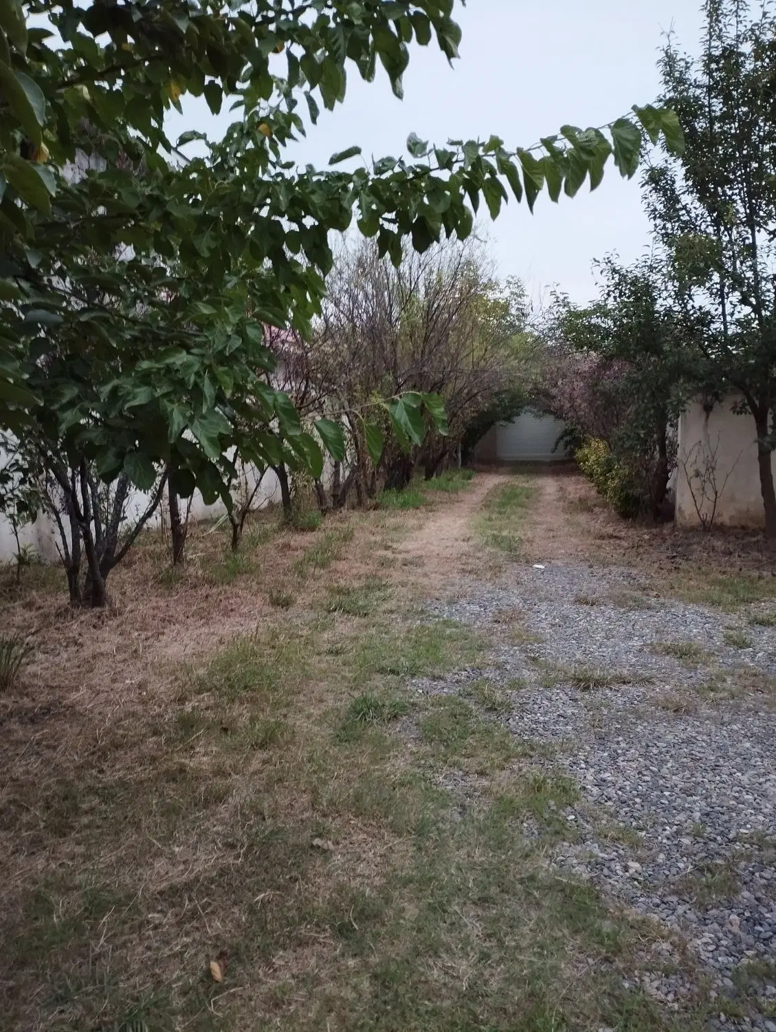 تصویر املاک 103785