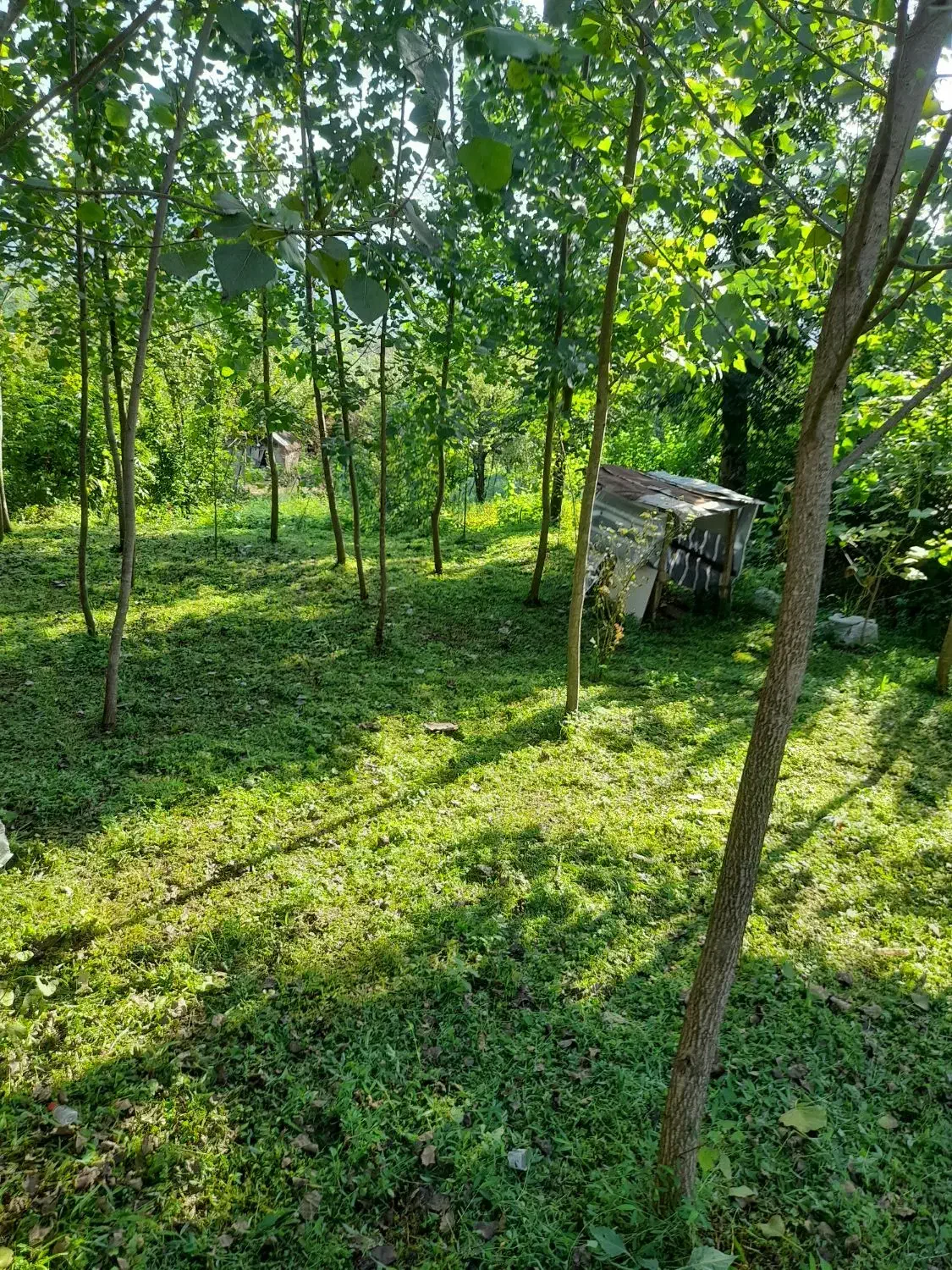 تصویر املاک 34841