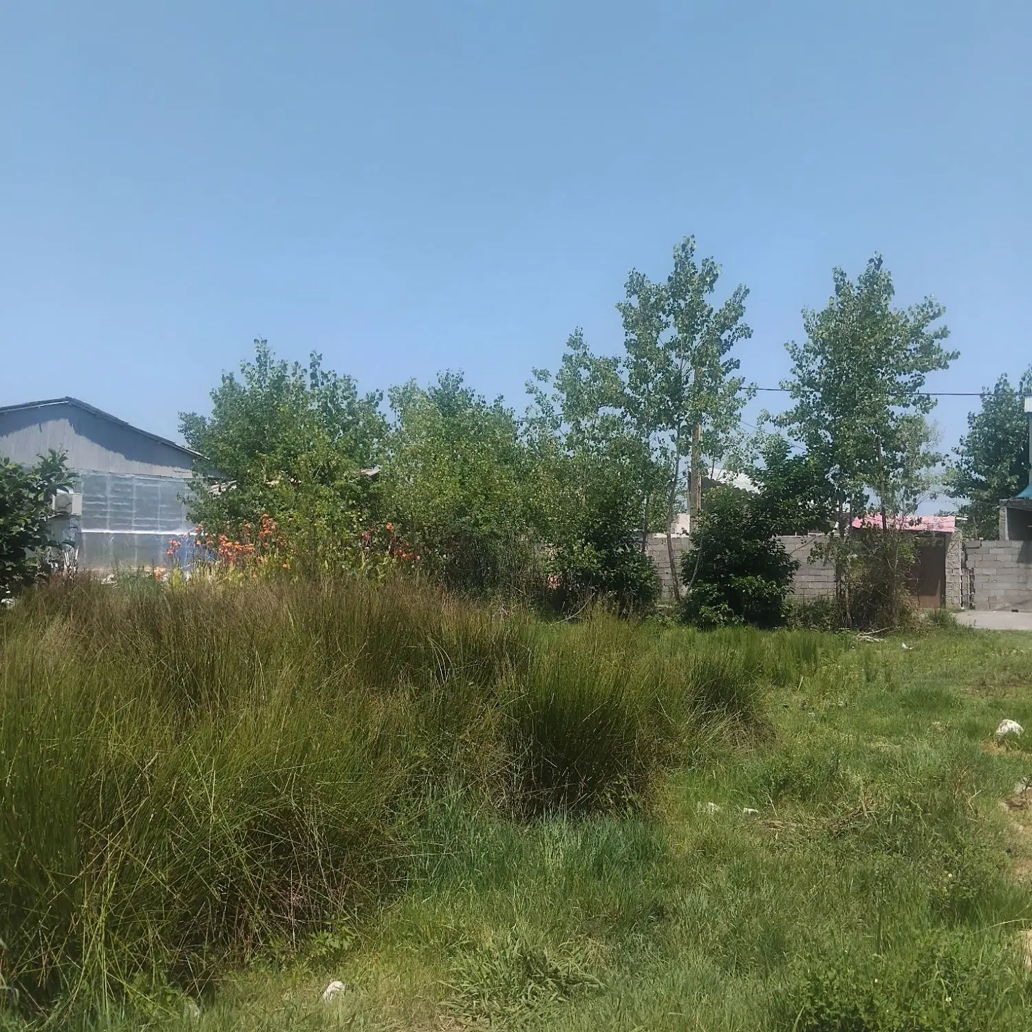 تصویر املاک 74941
