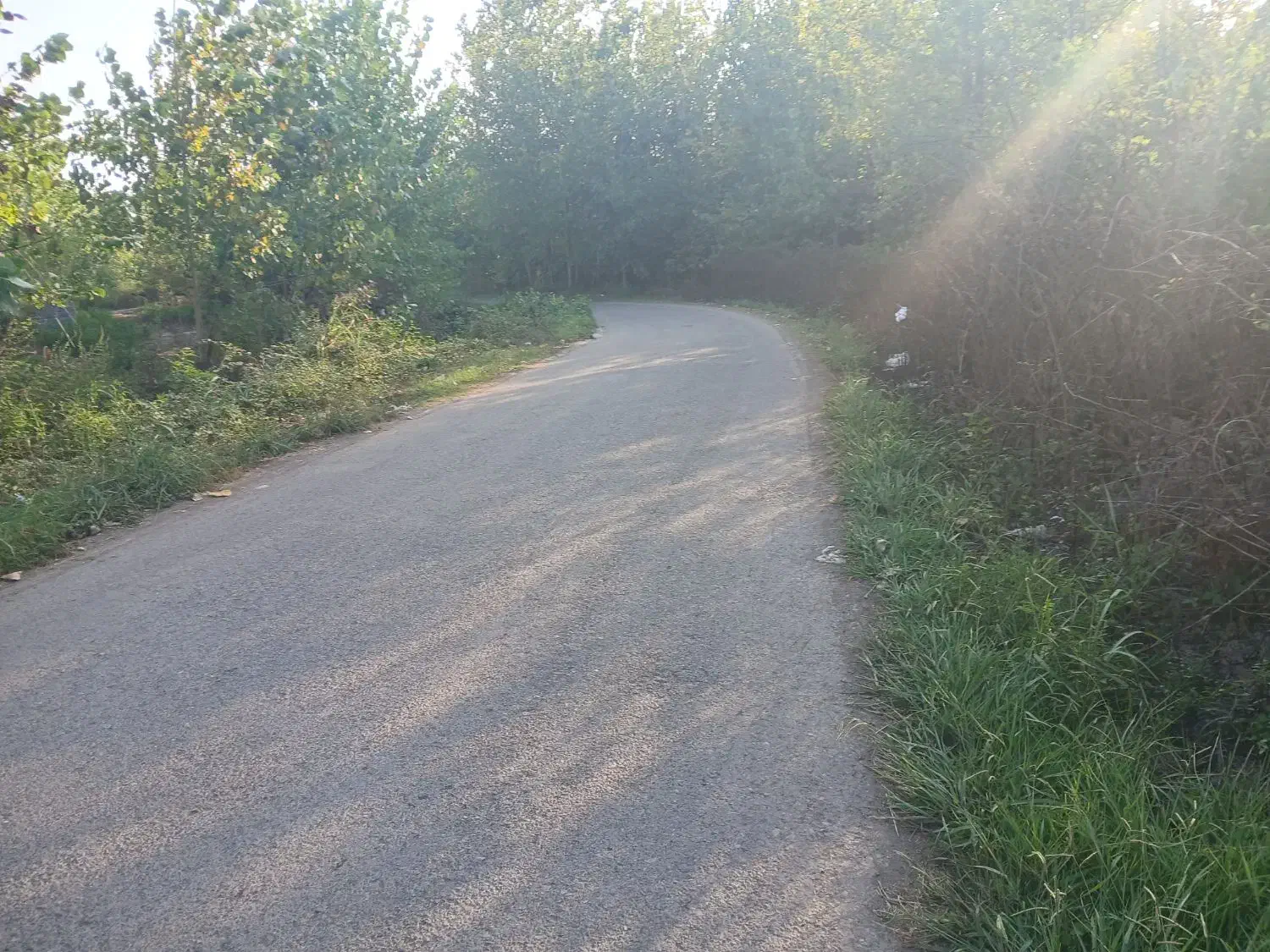تصویر املاک 5559