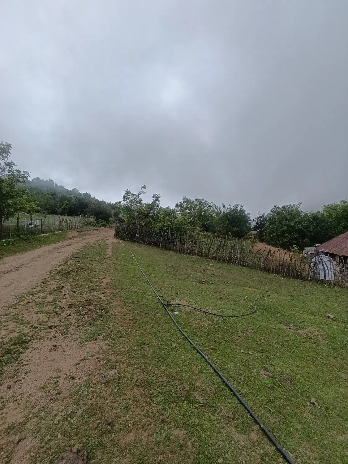 تصویر املاک 103516
