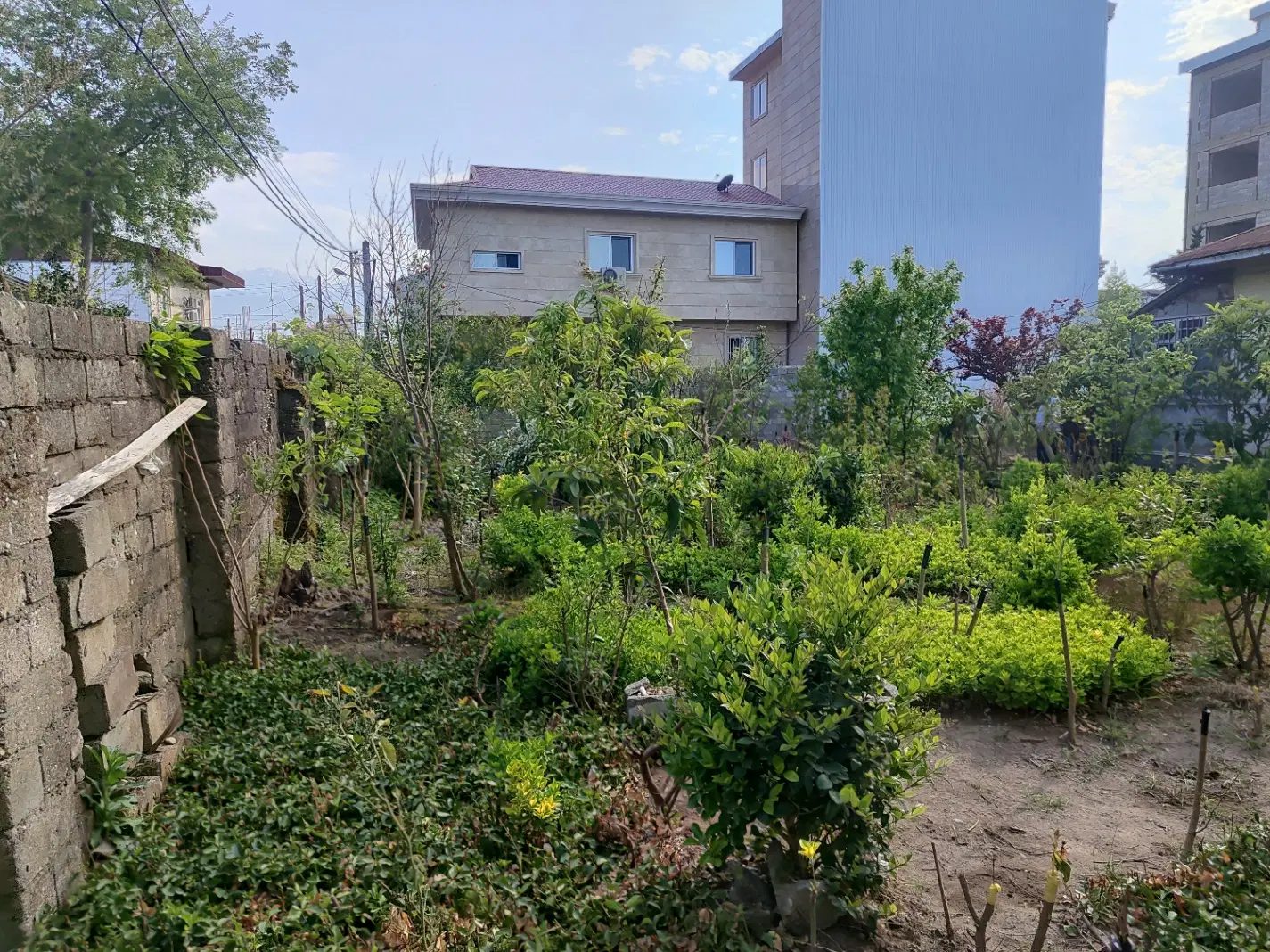 تصویر املاک 108859