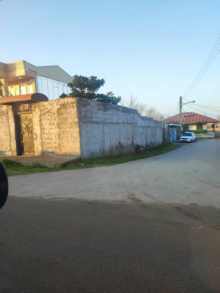 تصویر املاک 68308