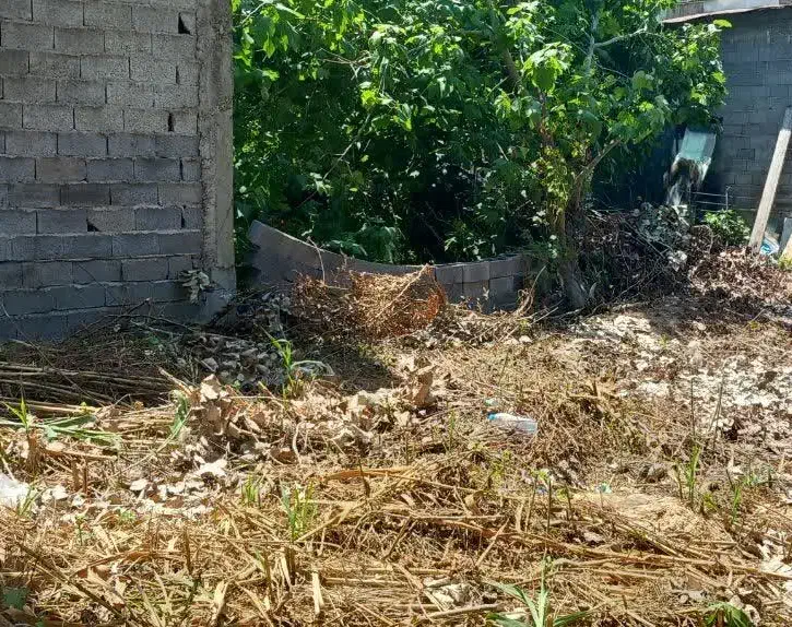 تصویر املاک 9166