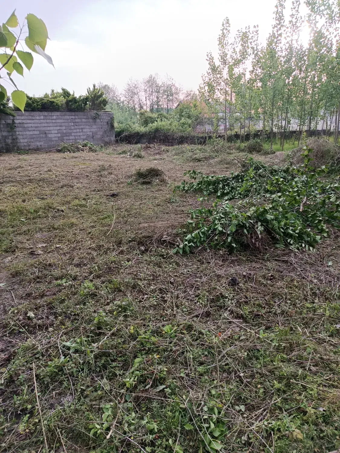 تصویر املاک 36089
