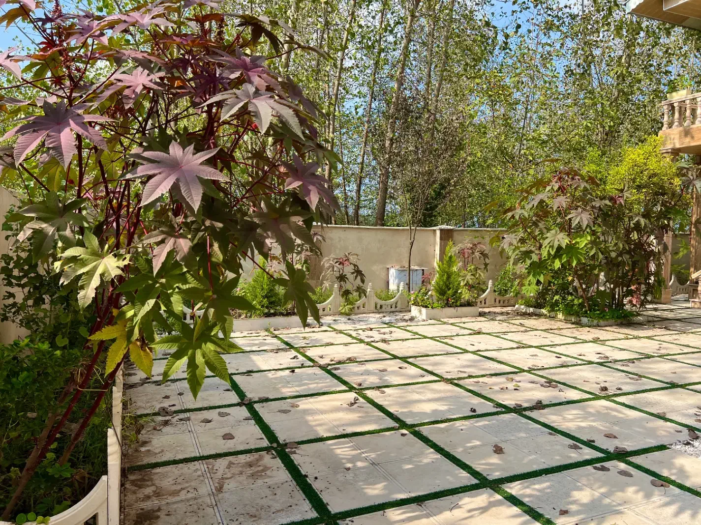 تصویر املاک 6198
