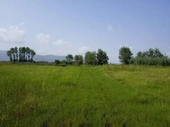 تصویر املاک 104611