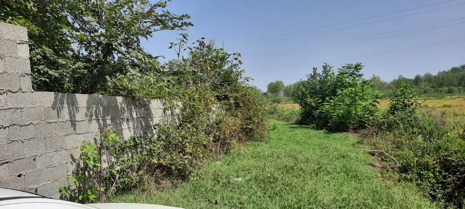 تصویر املاک 134782