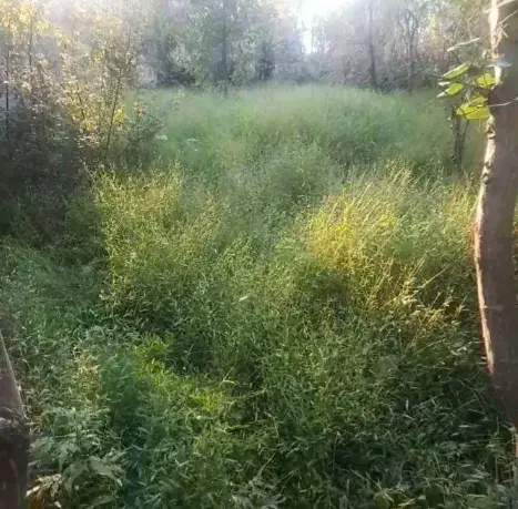 تصویر املاک 34870