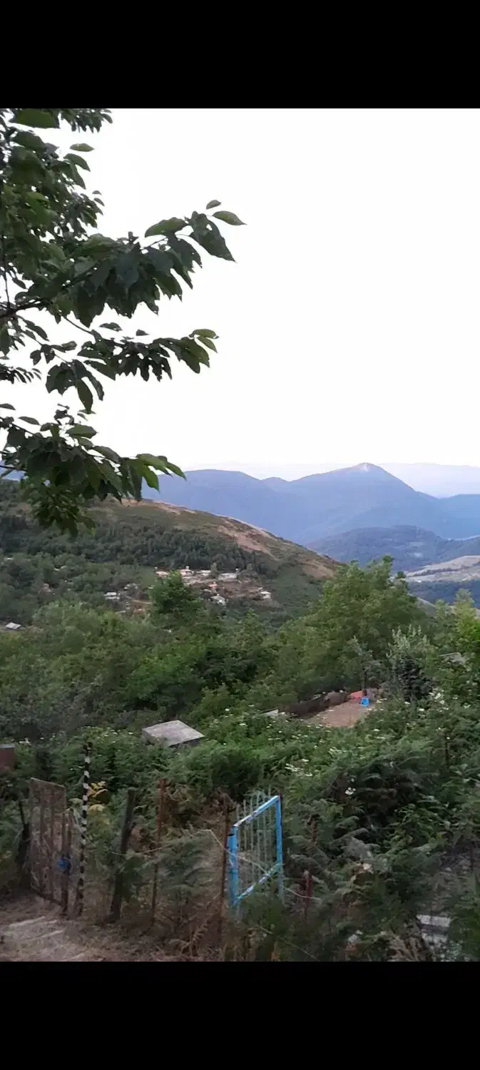 تصویر املاک 5332