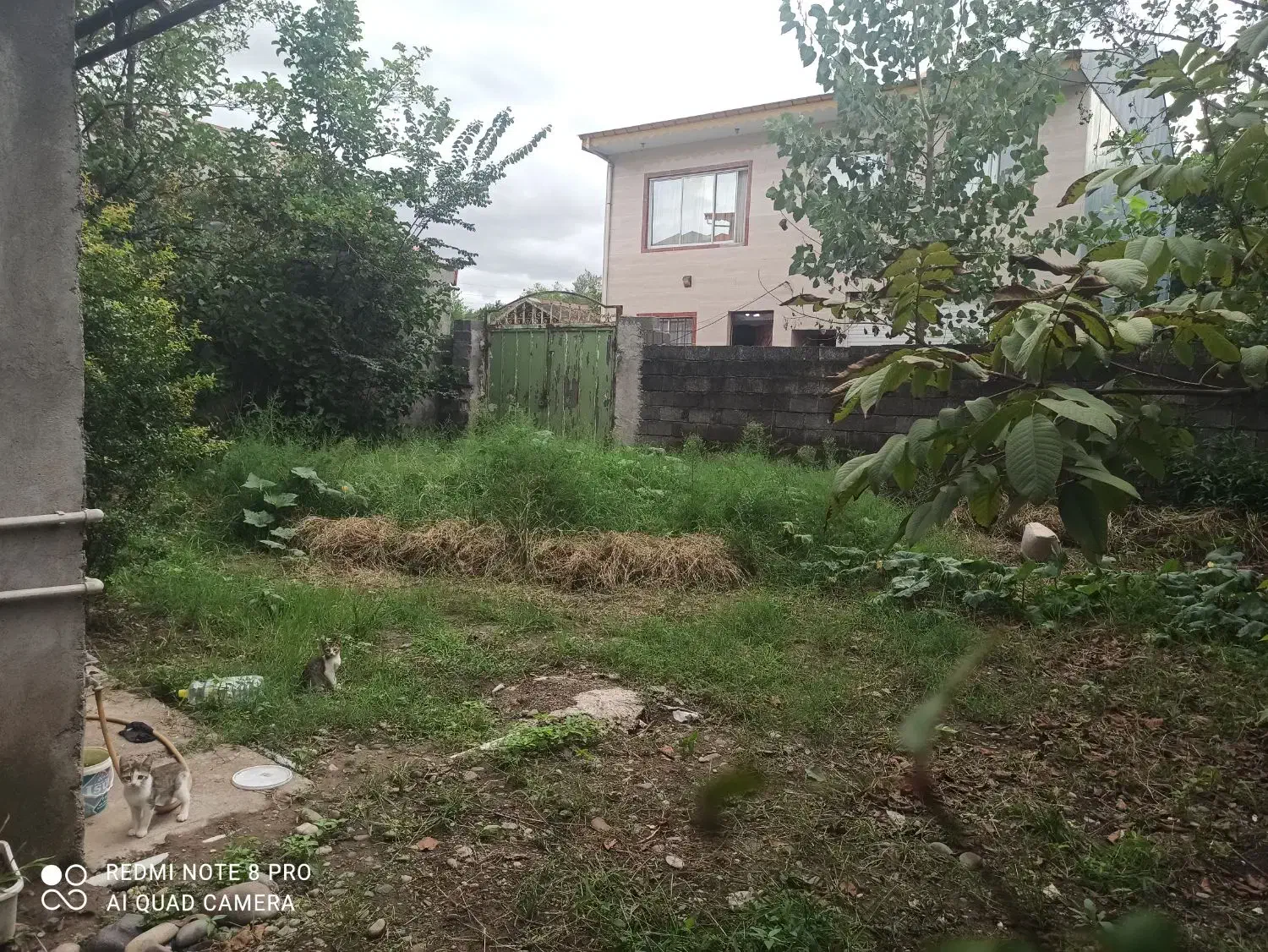 تصویر املاک 8716