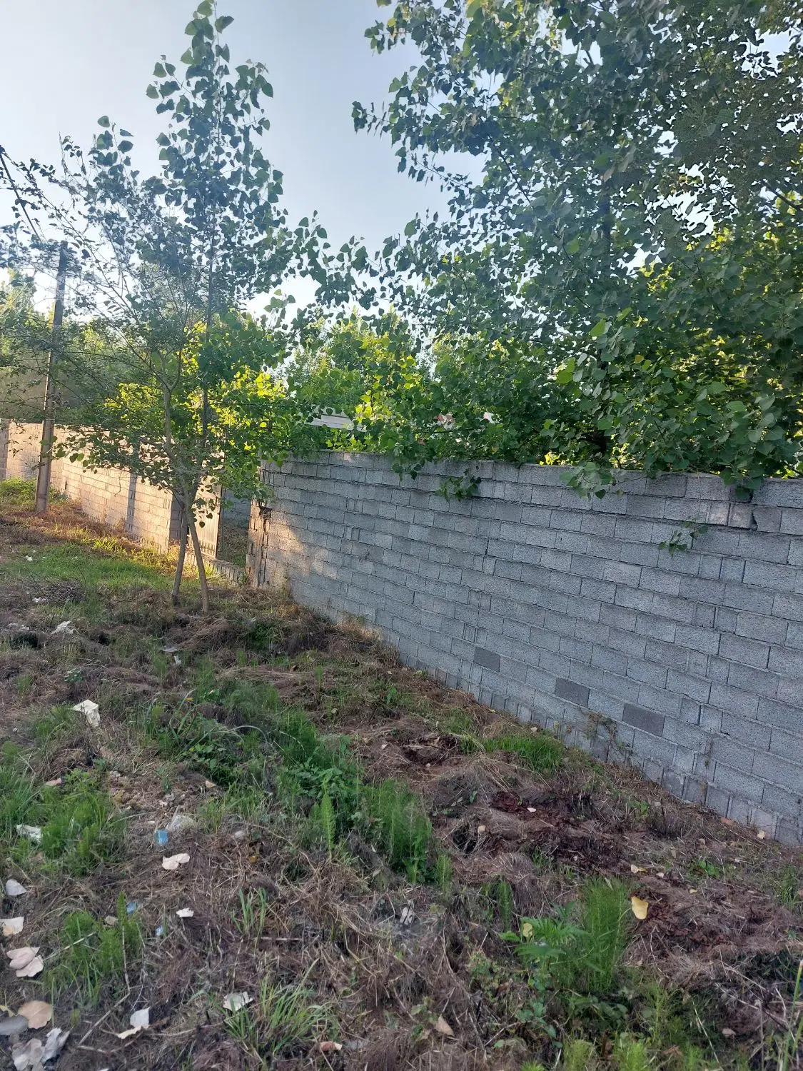 تصویر املاک 68549