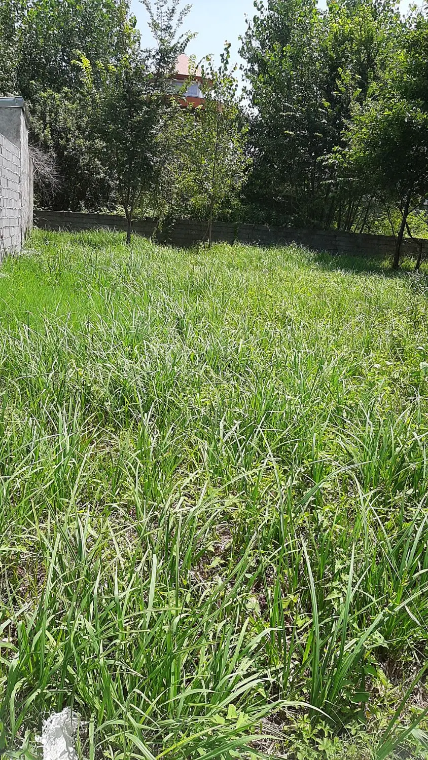 تصویر املاک 134488