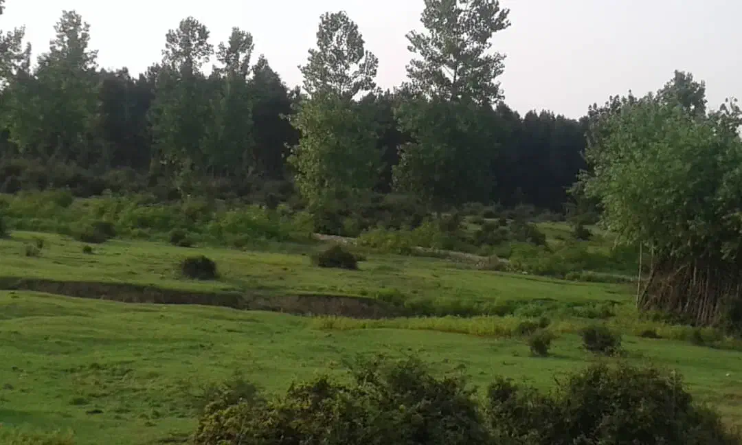 تصویر املاک 36530