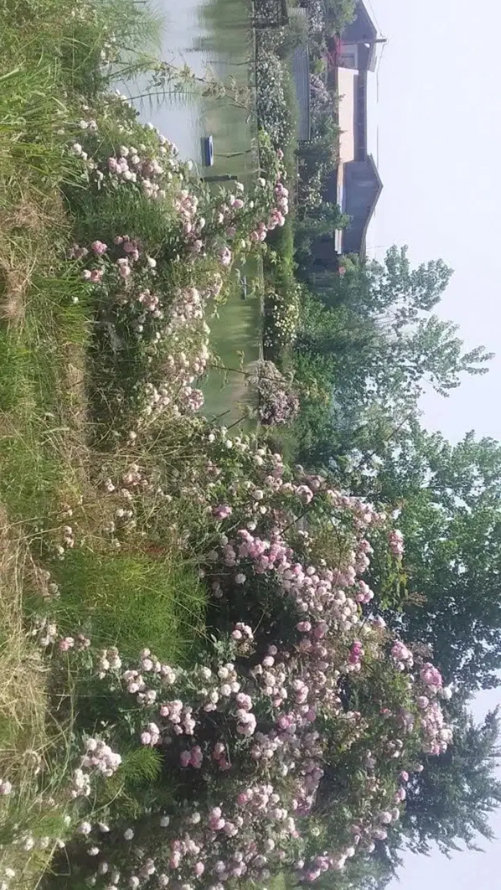 تصویر املاک 134854