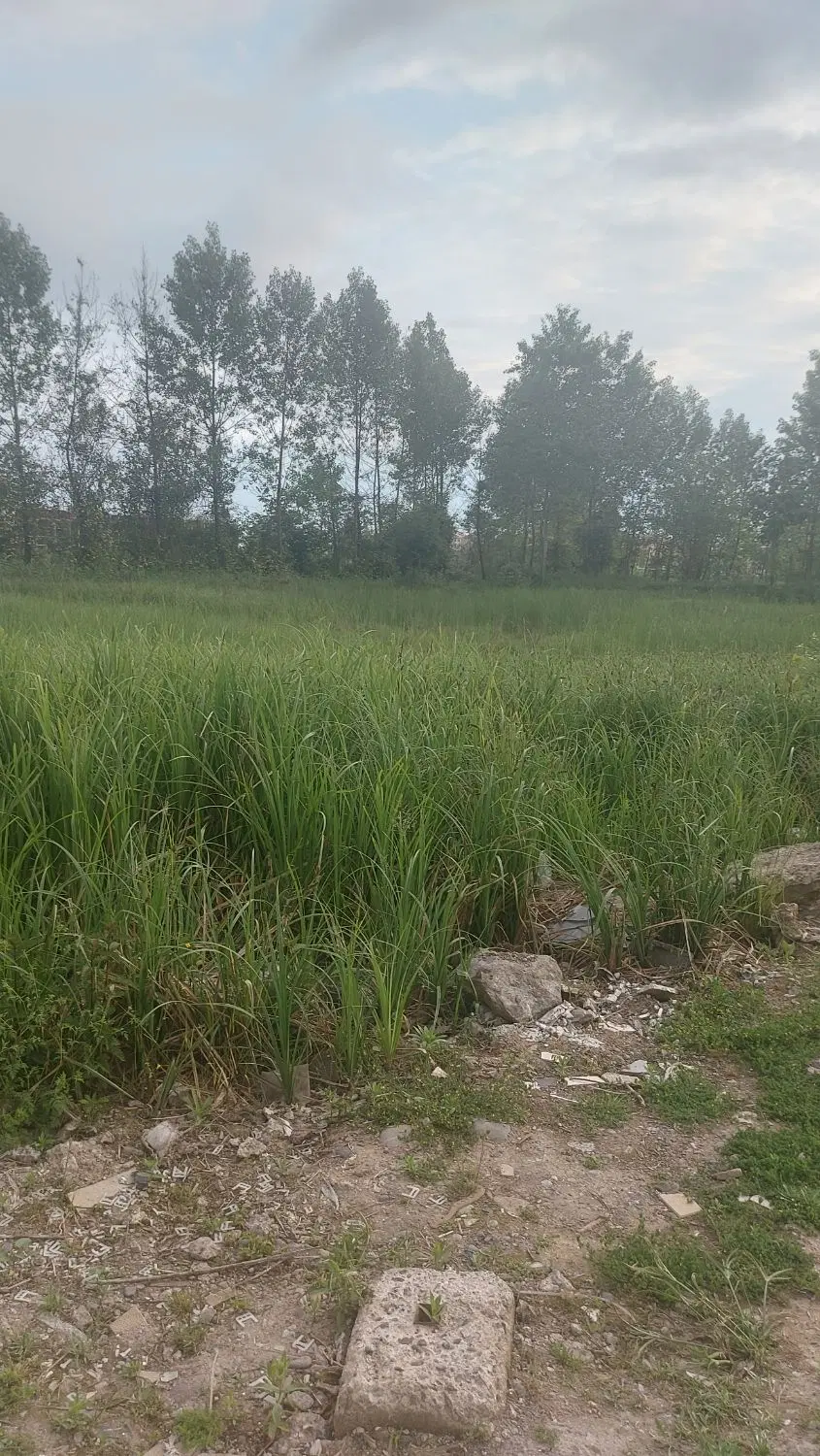 تصویر املاک 58967