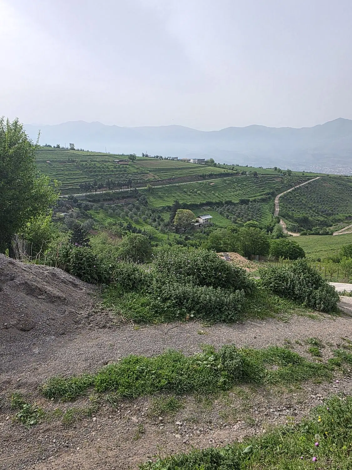 تصویر املاک 136819
