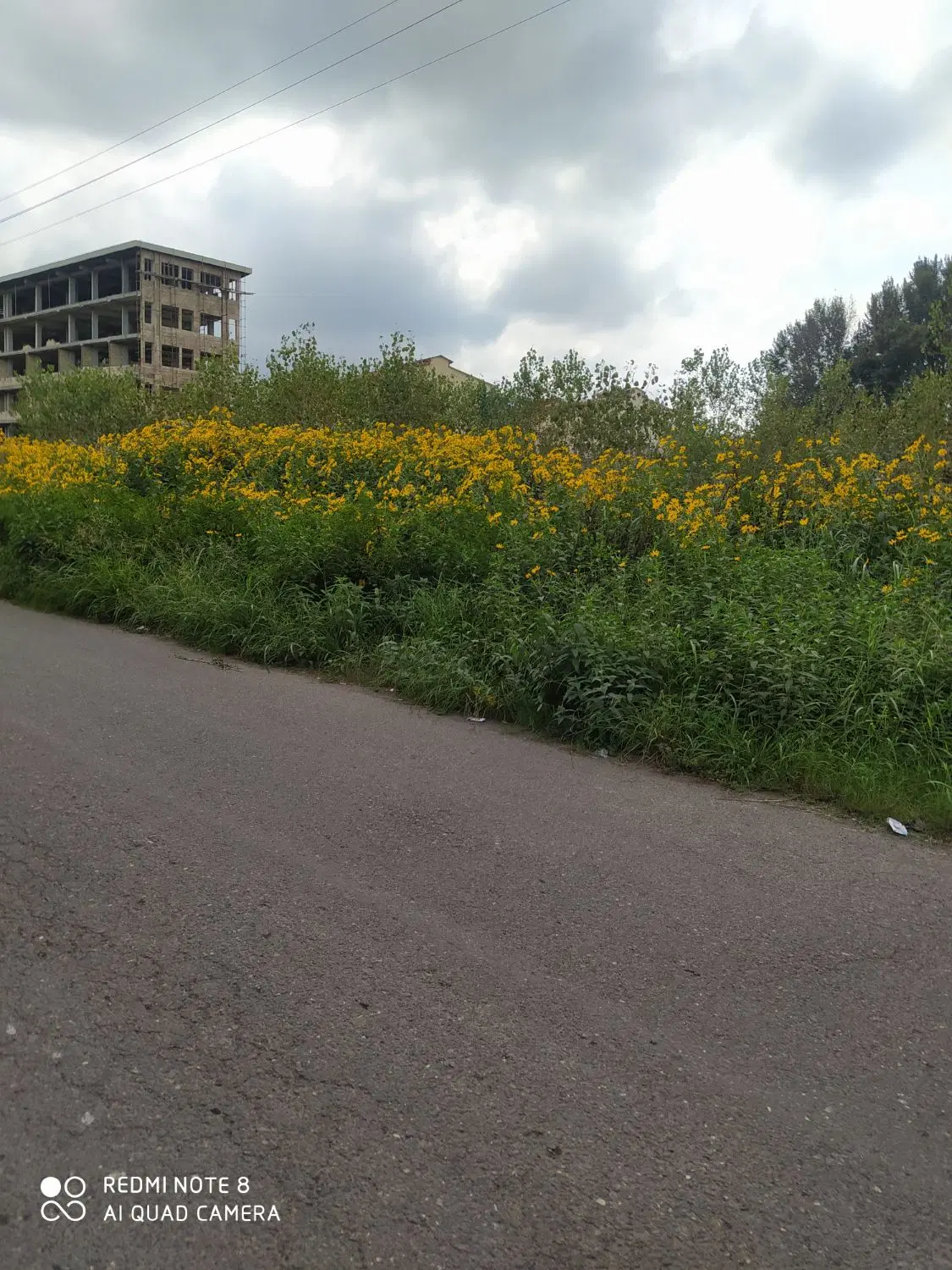 تصویر املاک 133689
