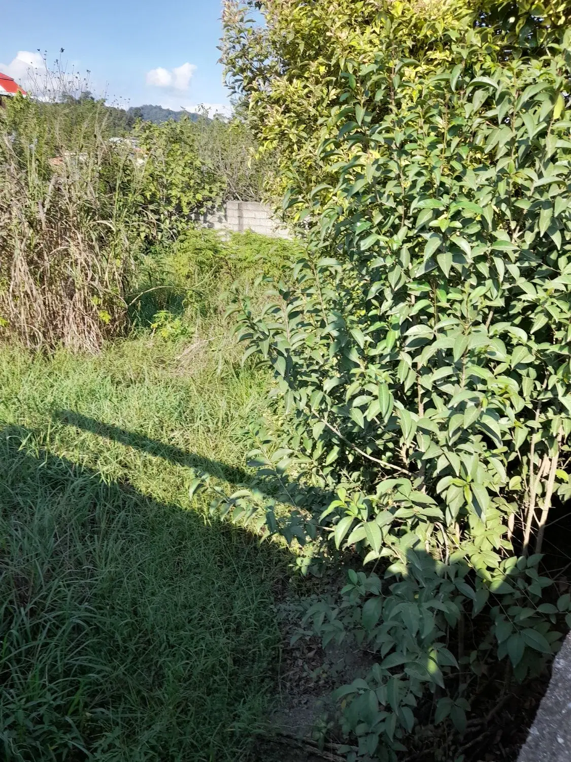 تصویر املاک 134134