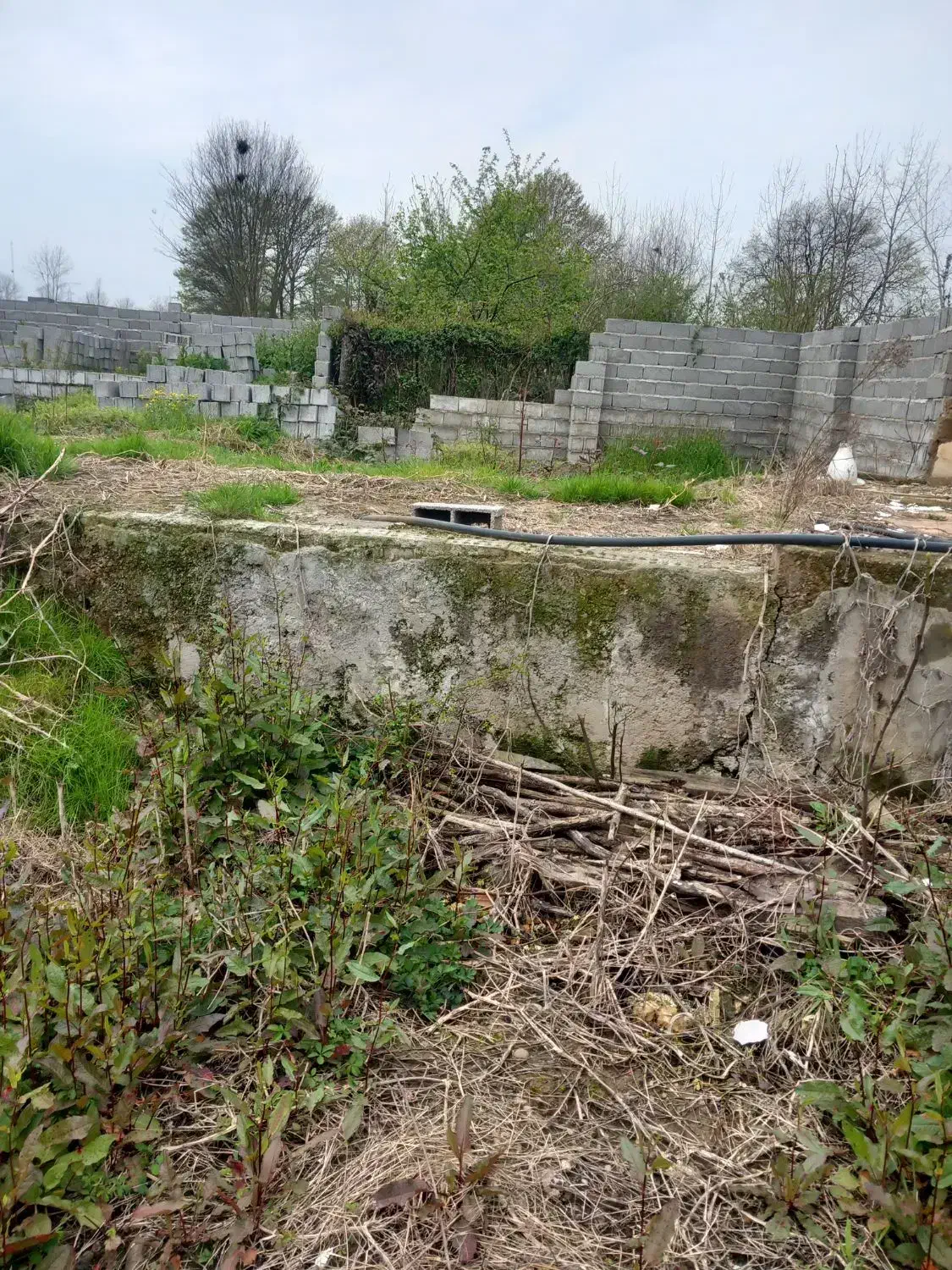 تصویر املاک 40742