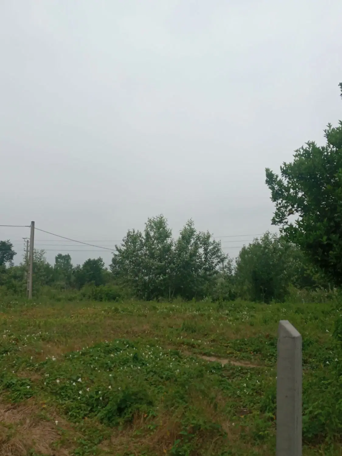 تصویر املاک 135777