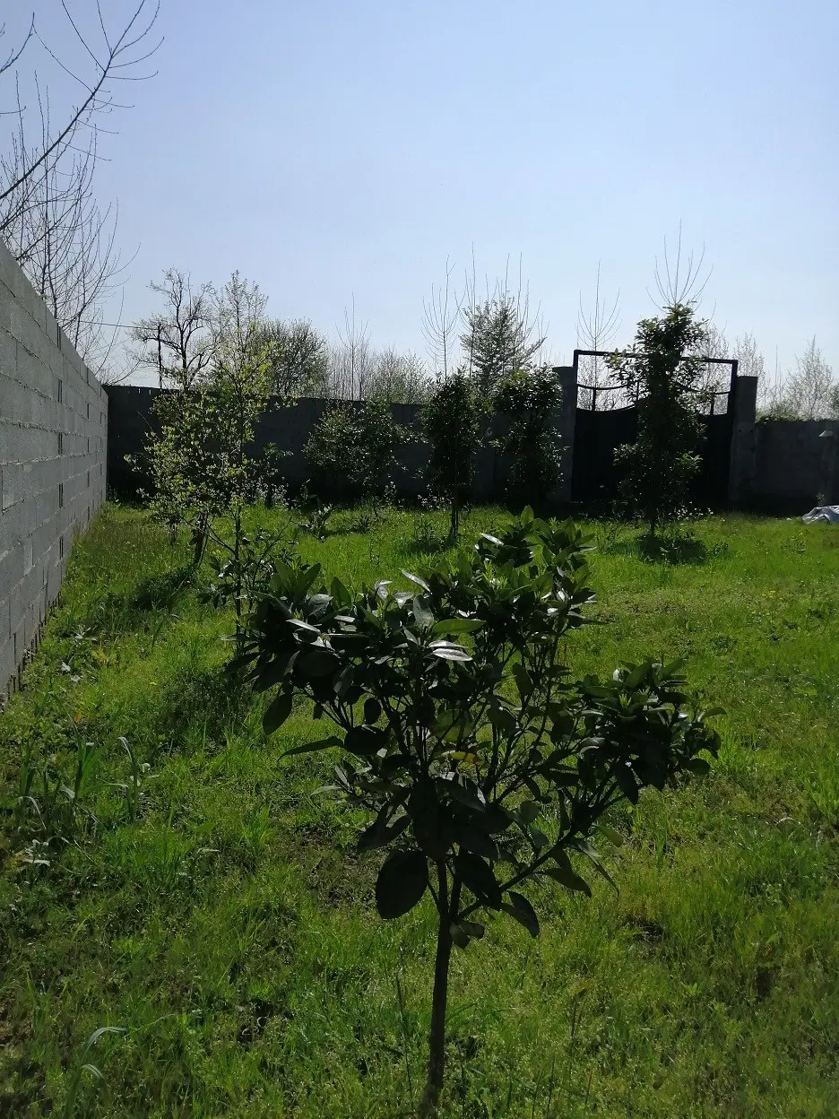 تصویر املاک 123209