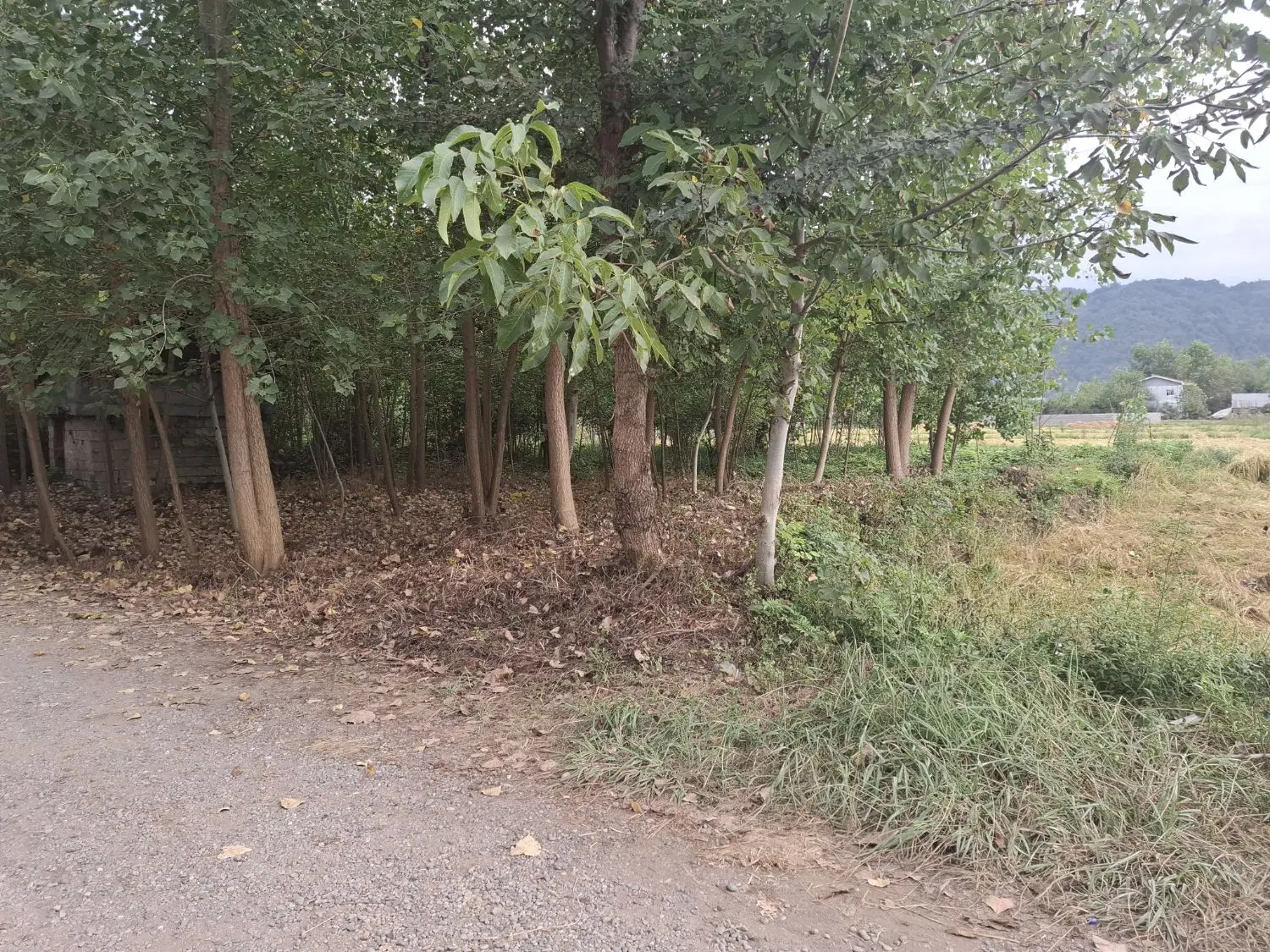 تصویر املاک 107745