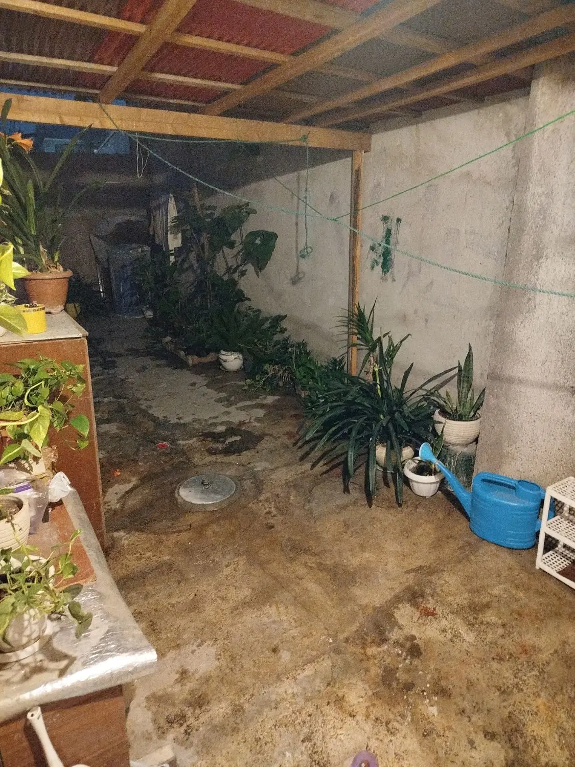 تصویر املاک 81125